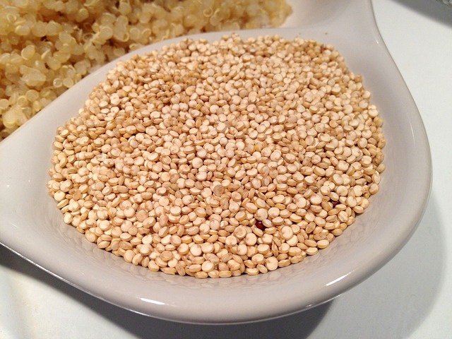 Komosa ryżowa (quinoa) – źródło białka